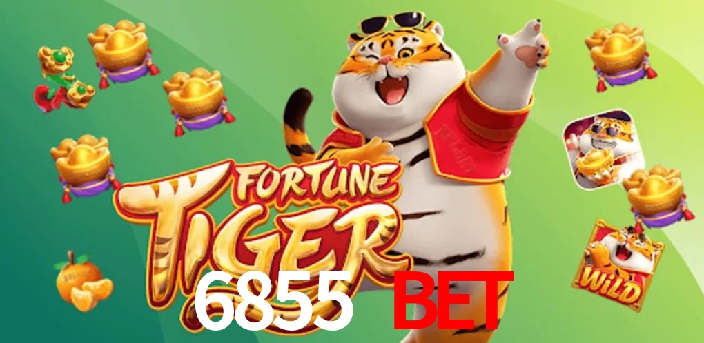 Experiência VIP 6855 bet